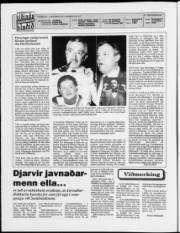Síða 2