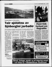 Síða 3