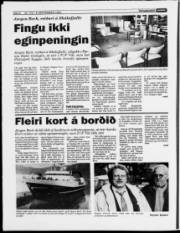 Síða 8