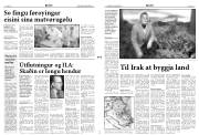 Síða 3