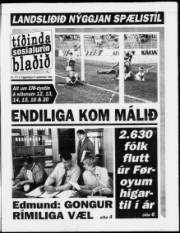 Síða 1