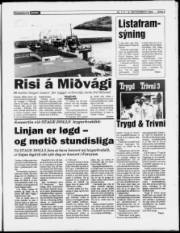 Síða 5