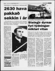 Síða 6