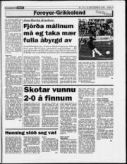 Síða 13