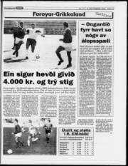 Síða 15