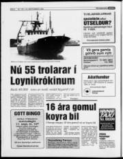 Síða 4