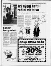 Síða 17