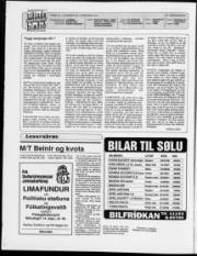 Síða 2