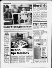 Síða 3