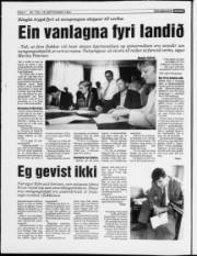 Síða 4