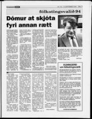 Síða 13