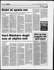 Síða 19
