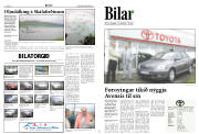 Síða 10
