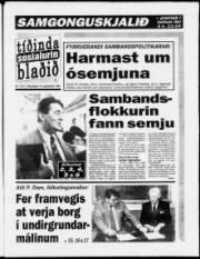 Síða 1