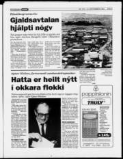 Síða 3