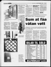 Síða 7