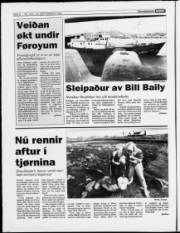 Síða 8
