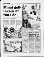 Síða 9