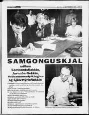 Síða 11
