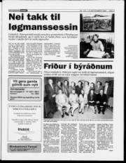 Síða 3