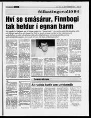 Síða 13