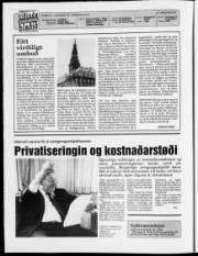 Síða 2