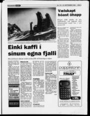 Síða 3