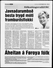 Síða 13