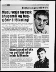 Síða 17