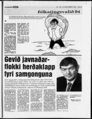 Síða 21
