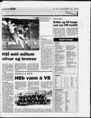 Síða 23