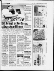 Síða 27