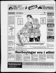 Síða 28