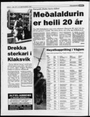 Síða 4