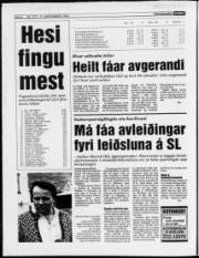 Síða 8