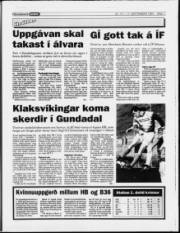 Síða 11