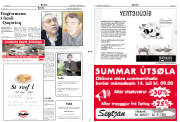 Síða 2