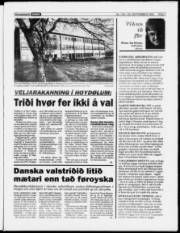 Síða 7