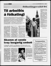 Síða 13