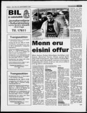 Síða 8