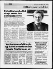 Síða 11