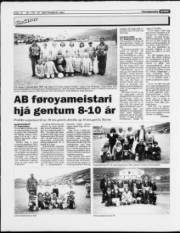Síða 12