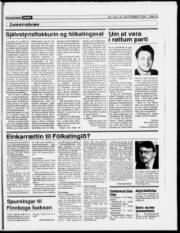 Síða 19