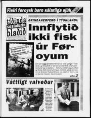 Síða 1