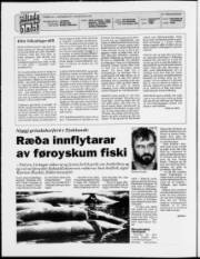 Síða 2