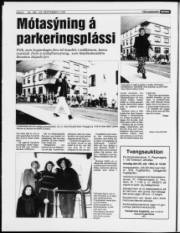 Síða 6