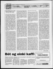 Síða 2
