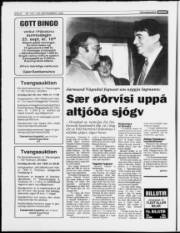 Síða 8