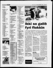 Síða 14
