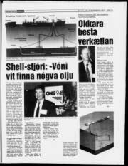 Síða 18